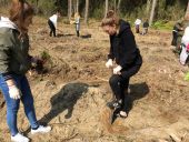 Każdy z nas sadził las