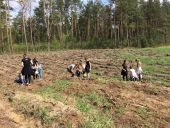 Każdy z nas sadził las