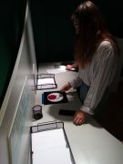 Wystawa interaktywna „Wszystko jest liczbą”