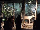 Uczniowie 3 TŻ i 3 AH w Muzeum Przyrodniczym w Białowieży