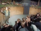 Uczniowie 3 TŻ i 3 AH w Muzeum Przyrodniczym w Białowieży