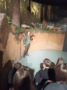 Uczniowie 3 TŻ i 3 AH w Muzeum Przyrodniczym w Białowieży