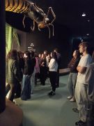 Uczniowie 3 TŻ i 3 AH w Muzeum Przyrodniczym w Białowieży