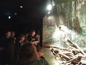 Uczniowie 3 TŻ i 3 AH w Muzeum Przyrodniczym w Białowieży